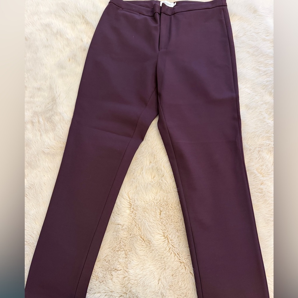 The Reset Men's Plum Straight Dress Pants